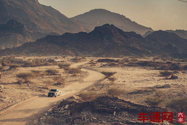 图片-8.jpg